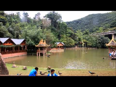 Parque Florestal Virgem de Xishuangbanna