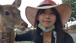 [問卦] 什麼 企鵝妹去年自己騎車遊南部