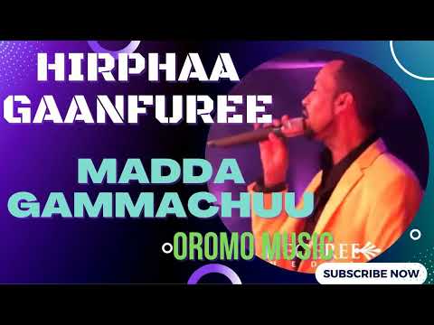 Hirphaa Gaanfuree - Madda Gammachuu | Oromo Music
