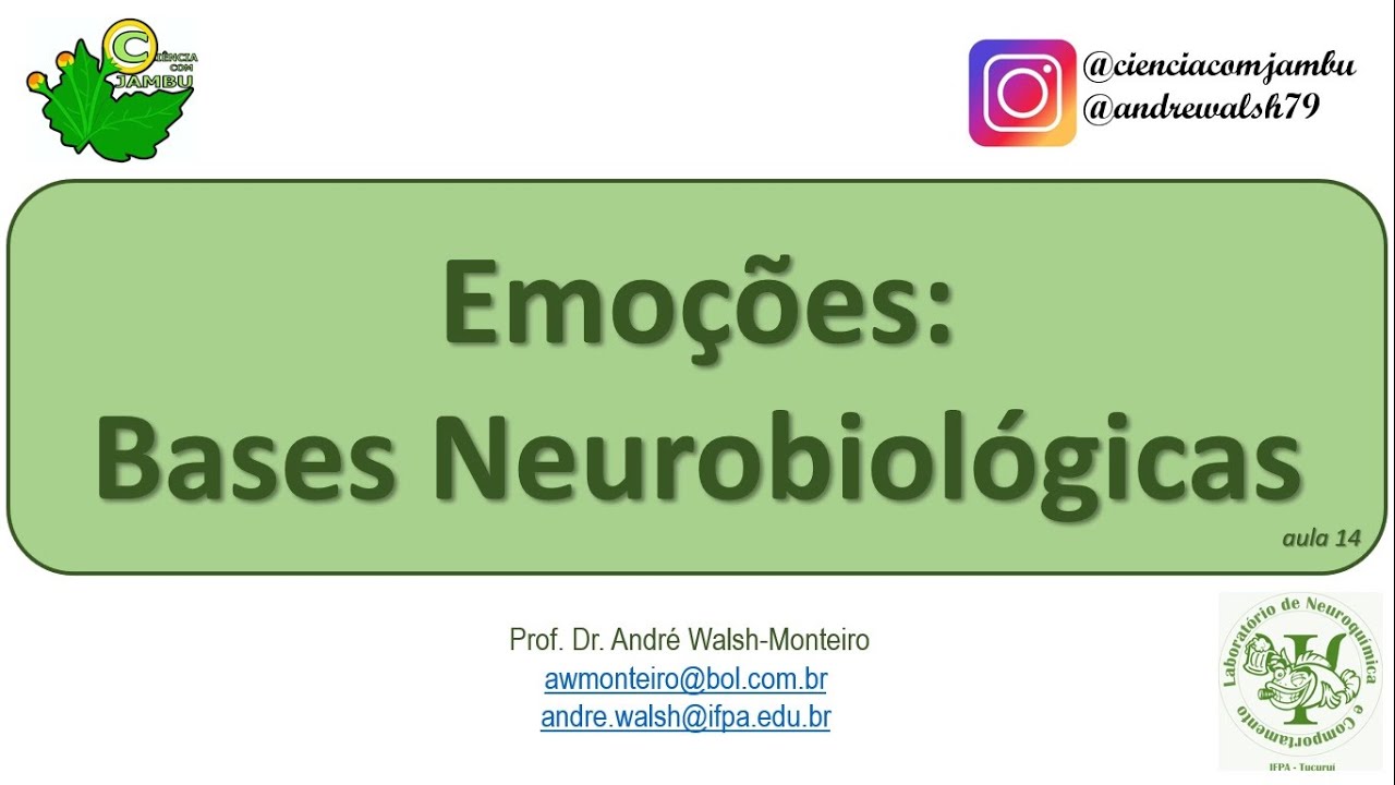 IntNeuro: Emoções - Bases Neurobiológicas, aula 14