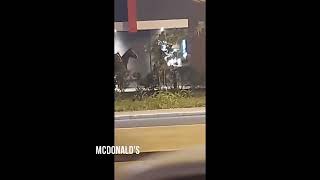 McDonald's Bahrain