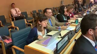 UNEA 4: Intervention by Isis Alvarez (Global Forest Coalition)