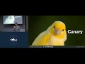 Real Life React Deployments