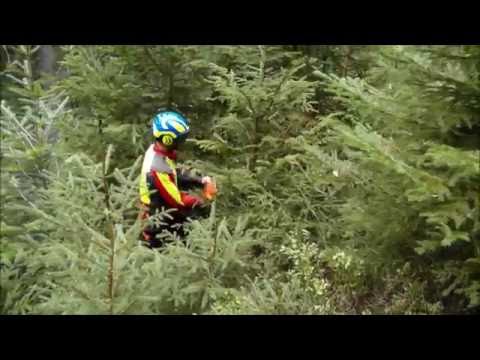 Jungbestandspflege, Waldpflege, Forstwirtschaft