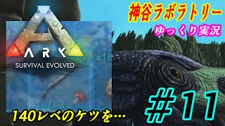 #11ゆっくり実況【ARK: Survival Evolved】神谷ラボラトリー【ARK】