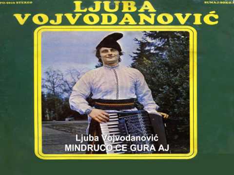 Ljuba Vojvodanovic - Mindruco Ce Gura Aj.wmv