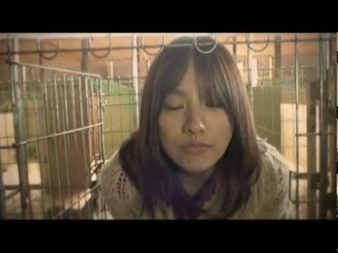 Hyori(李孝利), CJ E&M Animal Companion Campaign(Full ver.)