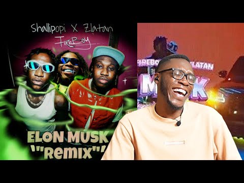Why Shallipopi must be arrested again | Zlatan, Fireboy DML - Elon Musk (Remix Reaction)