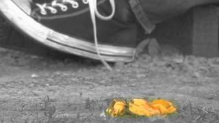 An Asphodel Supermarket In Back of the Real