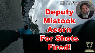 The Acorn Heard Round The World: Analysis and Lessons Learned