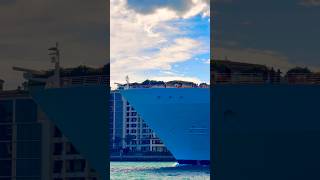 Symphony of the Seas 🛳️ #like #share #comment #subscribe #cruiseship #cruise #vacation #shorts #yt