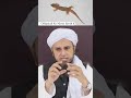 Chhipakali Ko Marna Jaisa H Muftitariqmasood Shorts Lizard