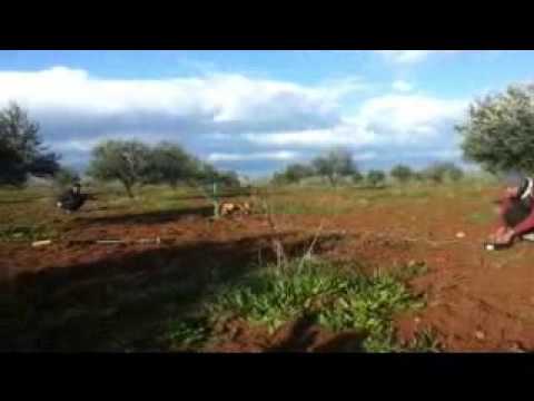 استهداف حاجز الحماميات في ريف حماة بصواريخ محلية الصنع من قبل كتيبة المعتصم بالله