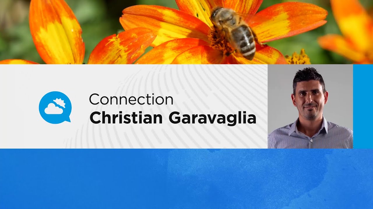 youtube video id=8JUpZOR1yU0