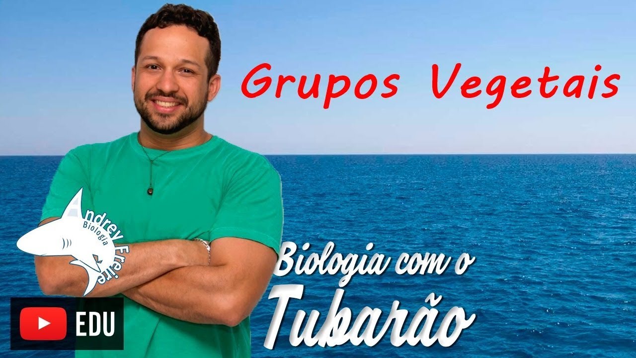 Botânica - Grupos vegetais - Criptógamas e Fanerógamas - Biologia com o Tubarão