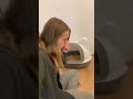 Cute Cat Funny Shorts