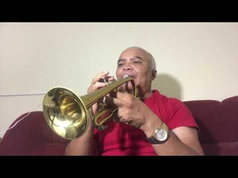 Hino 406 (Cornet Weril)