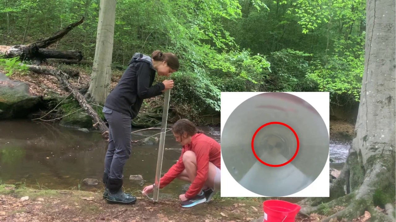 Using the Turbidity Tube