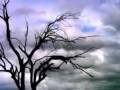 GLOOMY DAY 
