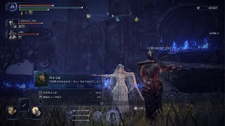 『霧の裂け目』エルデンリングナイトレイン【復讐者】 #50