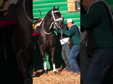 Son of the fastest horse in the world over 440 yards