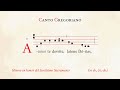 «Adoro te devote» – Himno en honor del Santísimo Sacramento – Canto Gregoriano