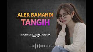 Download lagu ALEK BAMANDI TANGIH - Rayola | Lagu Minang Sedih Terbaru 2026 Menyentuh Hati mp3