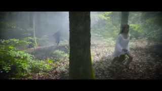 Alive Shadows - PEELED CUBES - 2015