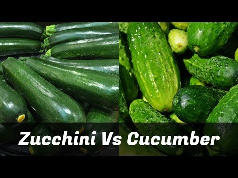 Zucchini Vs Cucumber - Find Out How They Differ