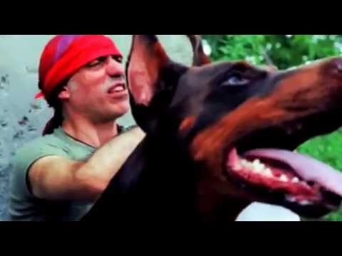 Rudy Marra & the MOB feat Dana Colley ALLONSANFAN videoclip