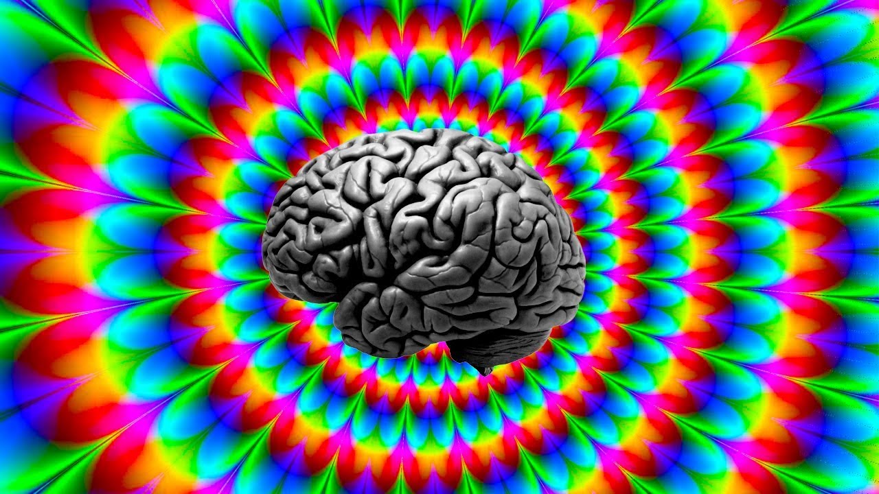 ¿Podemos confiar en nosotros?