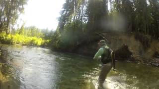 preview picture of video 'Fishing @ River Belá, Slovakia'