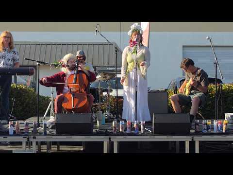 The Psychonauts Collective - Live at Buena Vista Brewing | Santa Cruz Cipher Sessions
