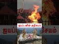 Ayyappan காட்சி அளித்த இடத்தில் அதிசயமா Shorts