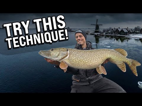 This is Why You Should Fish JERKBAITS in DEEP Water during WINTER!