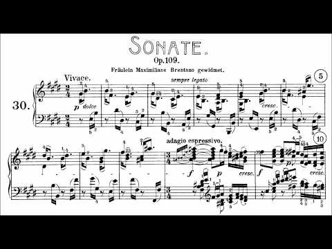 Beethoven: Sonata No.30 in E Major, Op.109 (Goode, Levit)