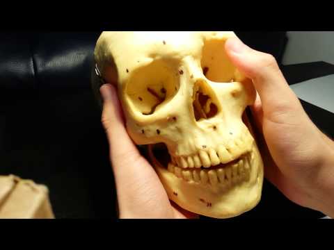 Ricarica per osteocondrosi seno Dolore colonna vertebrale toracica