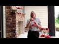 Hummingbird Feeders and Maintenance