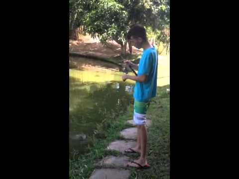 download lagu mp3 mp4 Carlos Baumann, download lagu Carlos Baumann gratis, unduh video klip Carlos Baumann