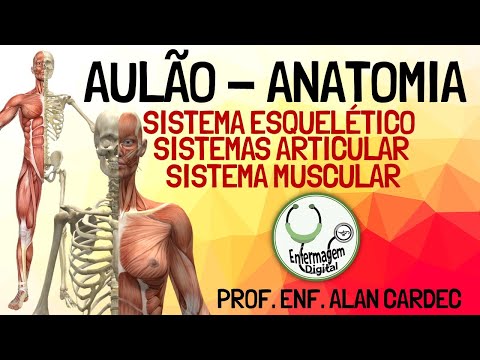 Skeletal, Articular and Muscular System - Human Anatomy Review