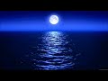 Infinite Shore / Steve Roach
