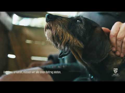 Video-Vorschau