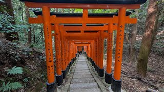 Fushimi Inari Taisha - How to beat avoid the crowds mid-day