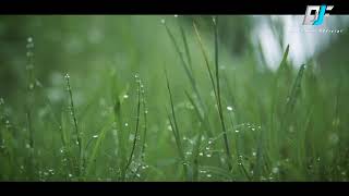 Download lagu DJ ngamen 7 Rendy projects and Riski vauzian mp3