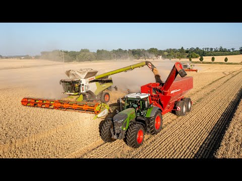 HORSCH AgroVation - CTF Harvest 2022 - Claas Lexion 8900 & 8700, Fendt 936 Vario, Horsch Titan 44 UW
