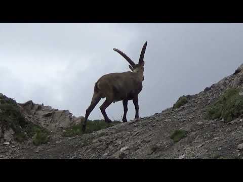 Traversata del Monte Pramaggiore