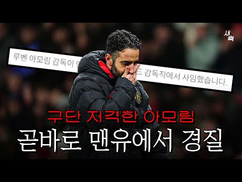 충격적인 아모림 경질 맨유 저격한 아모림, 하루 만에 경질확정! 혼돈에 빠진 맨유, 아모림과 최악으로 이별했다