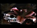The Disney Channel Id 1991