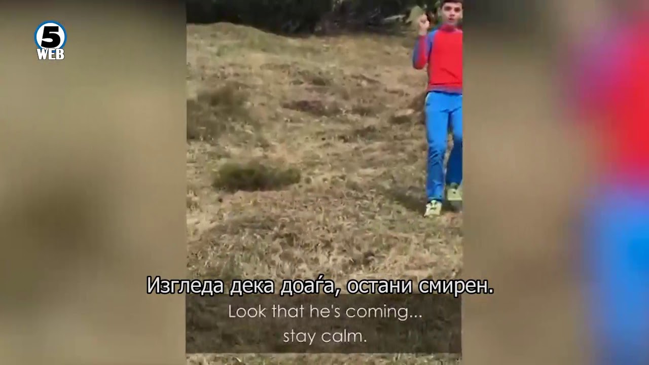 YouTube video