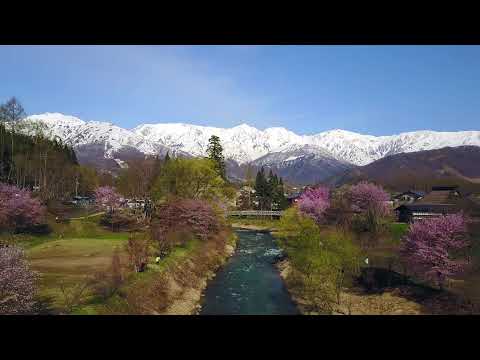 白馬村公式ムービー　【春−Spring】